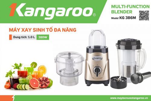 Máy Xay Sinh Tố Đa Năng Kangaroo KG3B6M