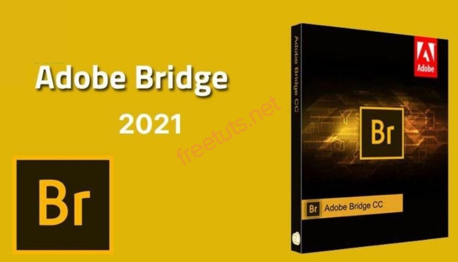 download adobe bridge 2021 full tu dong active JPG