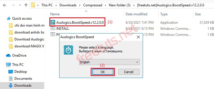 Download Auslogics BoostSpeed 2021 3 jpg