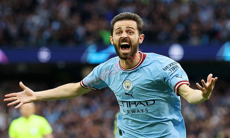 Bernardo Silva 05 jpg