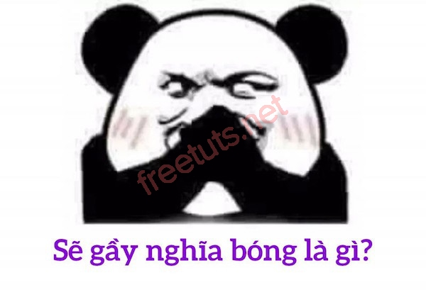 se gay 6 jpg