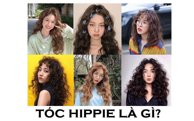 toc hippie 1 jpg