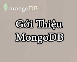 Bài 01: Tổng quan về MongoDB