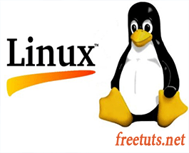 Linux là gì? Các bản phân phối Linux phổ biến hiện nay
