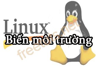 Hiểu về biến môi trường trên Linux và cách sử dụng