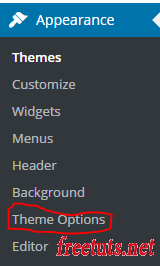 admin menu theme options png