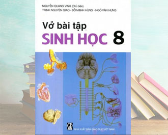 Tải vở bài tập sinh học lớp 8 pdf - Nguyễn Quang Vinh