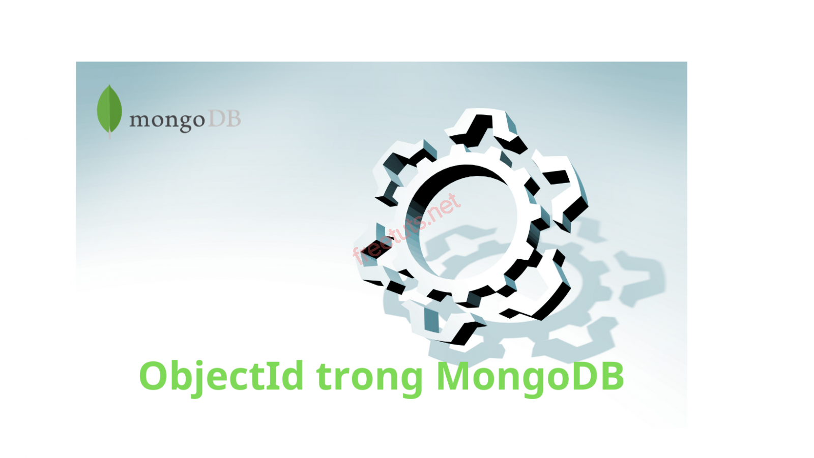 ObjectId 20trong 20MongoDB png