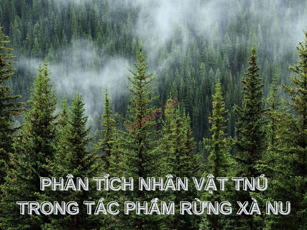 phan tich nhan vat tnu 1 jpg