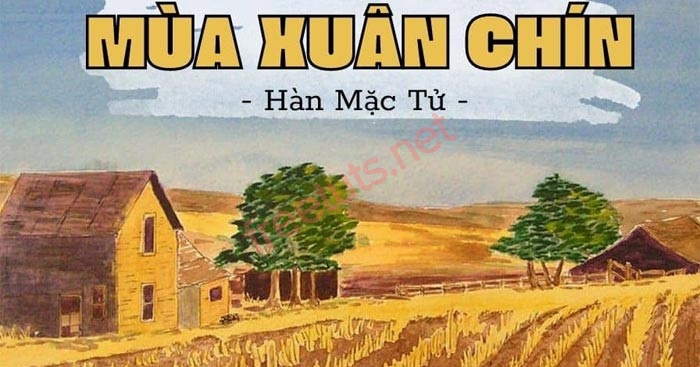 mo bai mua xuan chin 2 jpg