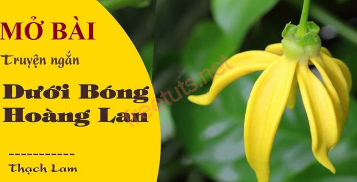 mo bai duoi bong hoang lan 1 jpg