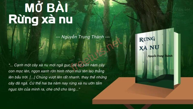 mo bai rung xa nu 2 jpg