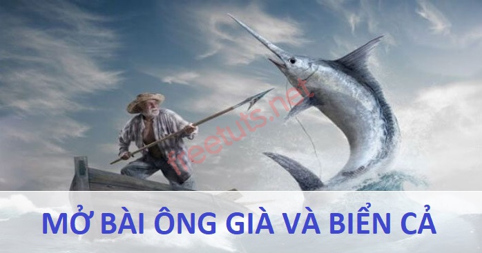 mo bai ong gia va bien ca 1 jpg