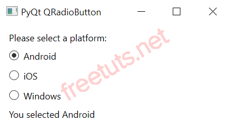 PyQt QRadioButton png