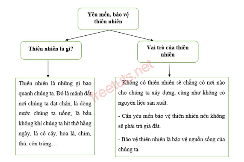 soan bai viet bai van nghi luan ve mot van de cua doi song 2 jpg